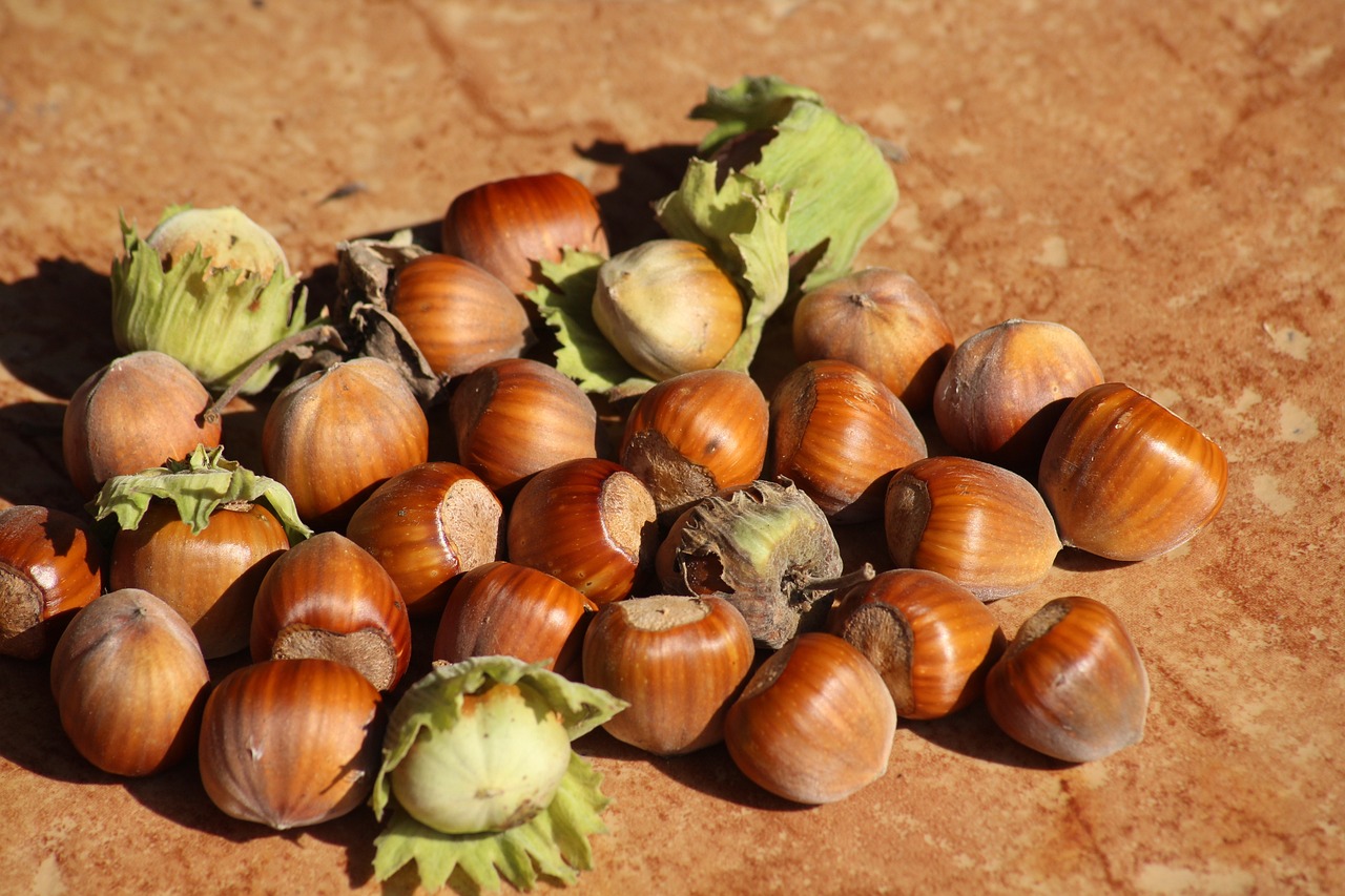 165^ Fiera della Nocciola