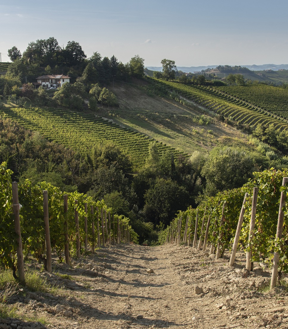 Castagnole delle Lanze | Il Sabato delle Lanze