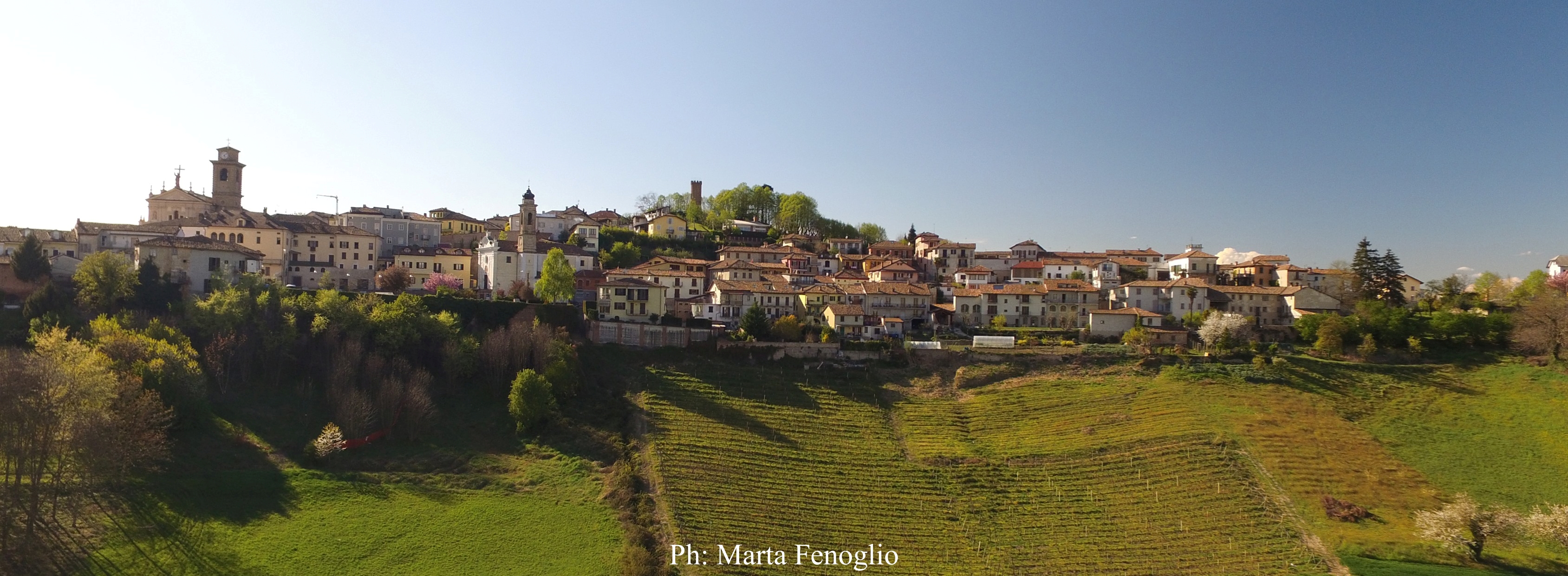 Una veduta di Castagnole delle Lanze.