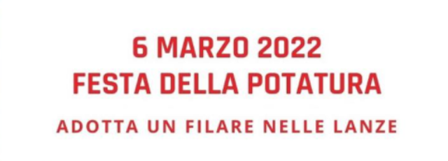 Castagnole delle Lanze | Festa della Potatura 2022