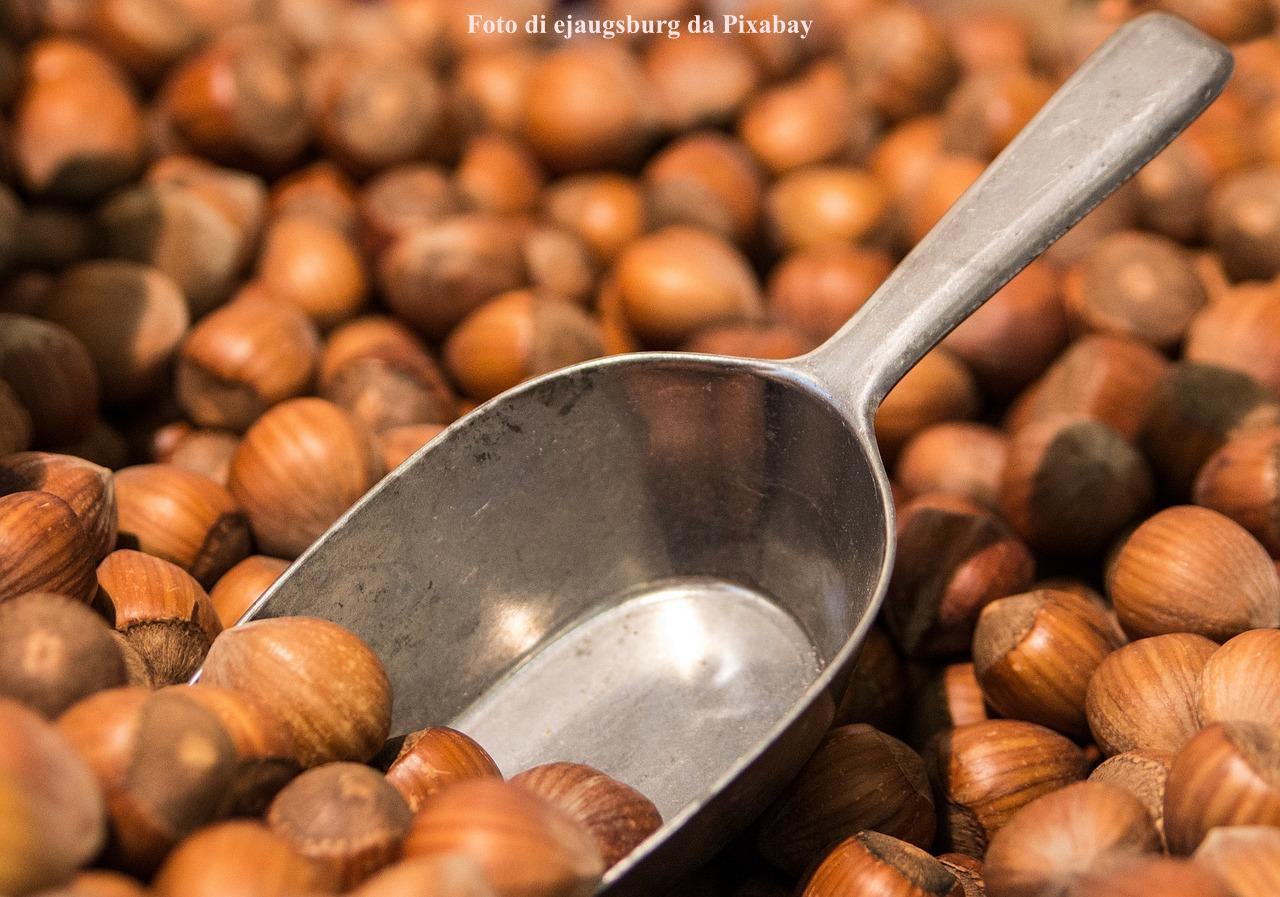 Castagnole delle Lanze | Fiera della Nocciola - edizione 2021