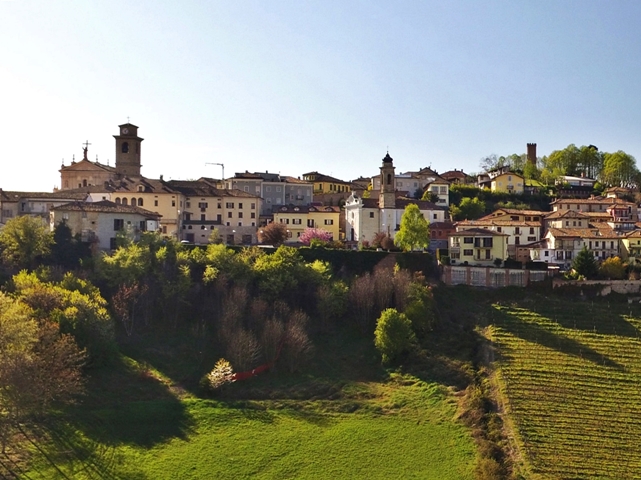 Castagnole delle Lanze | Passeggiata tra i vigneti di "Adotta un filare"
