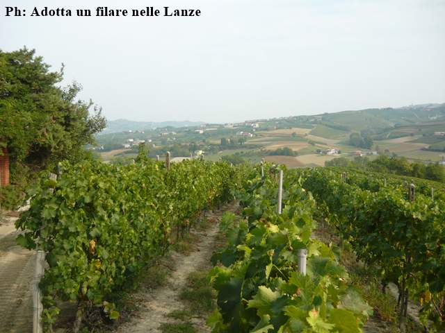 [ANNULLATA] Castagnole delle Lanze | Festa della Potatura - edizione 2020
