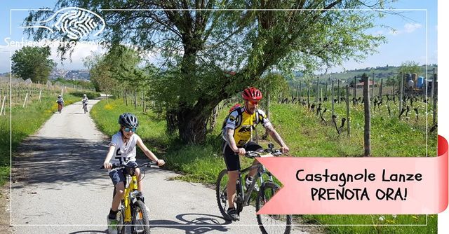 Castagnole delle Lanze | Sentieri Gastronomici - Tour in E-bike