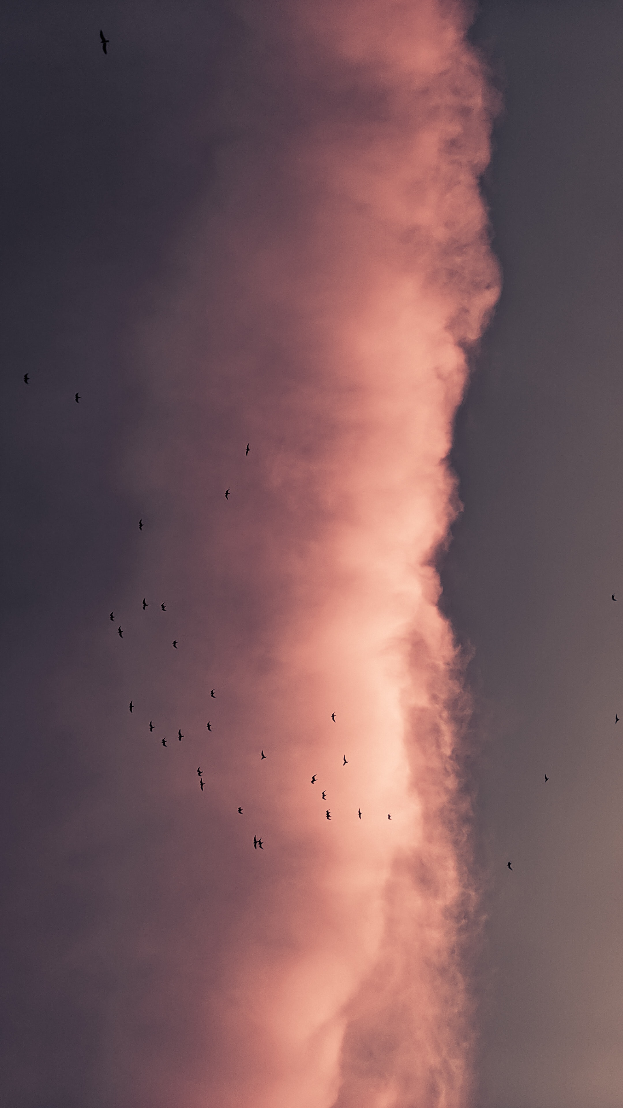 Monitoraggio livello di allerta per misure antismog