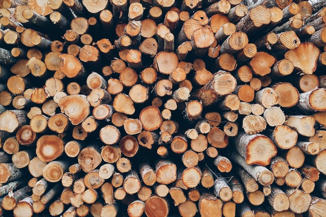 Attivazione procedura per l’assegnazione del sussidio corrispondente alla legna da ardere ad uso domestico per l’inverno 2021/2022